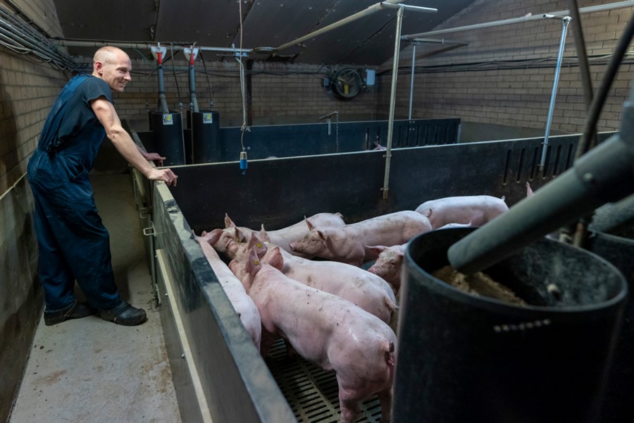 Bericht Tour de boer Toekomstbestendige stallen varkenshouderij bekijken